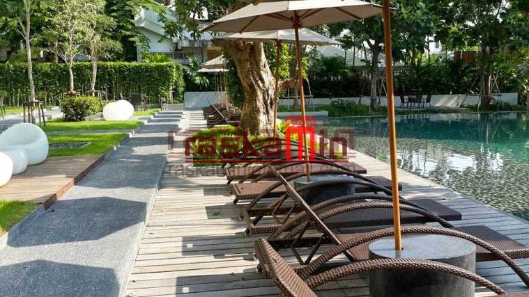 picture For Rent: 1-Bedroom Seaview Condo – Zire Wongamat, Pattaya - 16/19