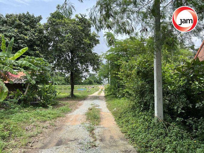รูป KBA2 6427723 : นอกโครงการชลบุรี - รูปที่ 7/14