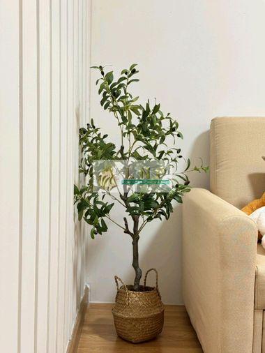 รูป 🏢 ขายคอนโด : The Tree Condo Ladprao (เดอะ ทรี คอนโด ลาดพร้าว) รหัสทรัพย์ | 📌LNP-C10089 - รูปที่ 5/16