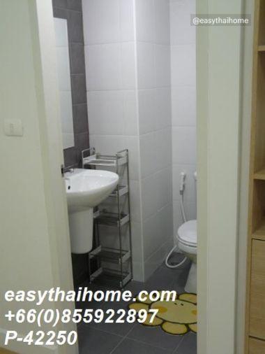 picture P-42250 Condo for sell My Condo Sukhumvit 52 fully furnished. - 5/19