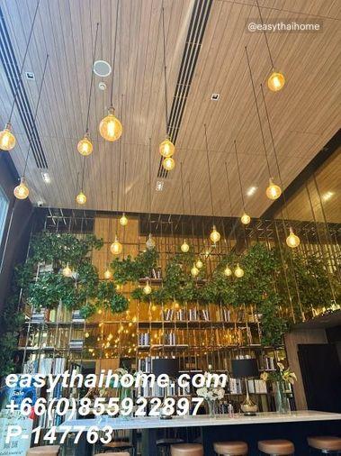 picture P-147763 Condo for sell The Tree Sukhumvit 64 fully furnished. - 12/15
