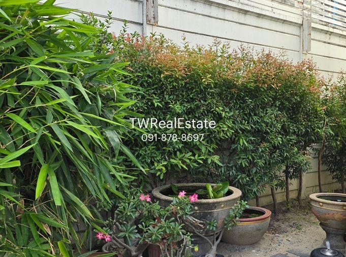 รูป 🌟 “ทาวน์โฮม 3 ชั้นใจกลางลาดพร้าว | บ้านกลางเมือง ลาดพร้าว 87” สไตล์โมเดิร์น เรียบหรู อยู่สบาย ใกล้ทุกจุดหมายในเมืองใหญ่ - รูปที่ 18/19