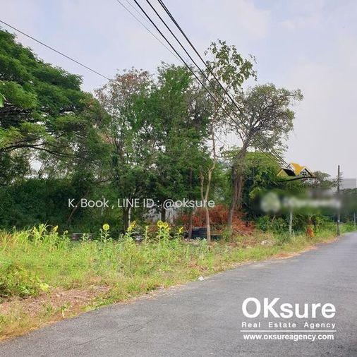 รูป 🌳 ขายที่ดินสวย ซ.เพชรเกษม 88 ราคาดี เดินทางสะดวก - รูปที่ 4/7