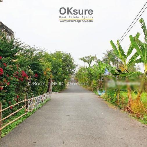 รูป 🌳 ขายที่ดินสวย ซ.เพชรเกษม 88 ราคาดี เดินทางสะดวก - รูปที่ 3/7