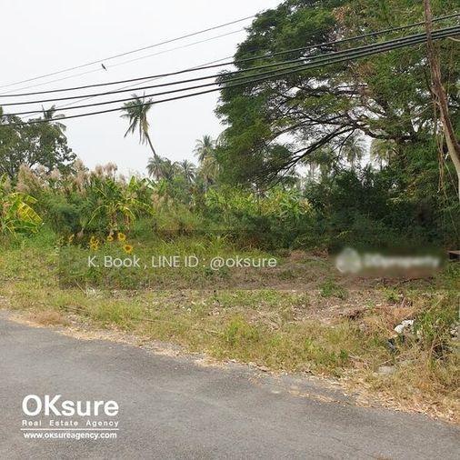 รูป 🌳 ขายที่ดินสวย ซ.เพชรเกษม 88 ราคาดี เดินทางสะดวก - รูปที่ 6/7