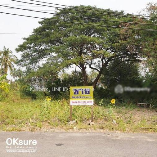 รูป 🌳 ขายที่ดินสวย ซ.เพชรเกษม 88 ราคาดี เดินทางสะดวก - รูปที่ 2/7