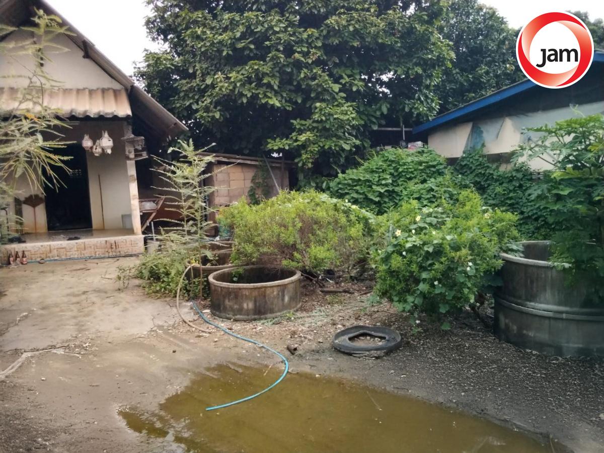 รูป BD 0951 : นอกโครงการเชียงใหม่ เชียงใหม่ - รูปที่ 11/12