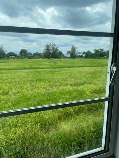 รูป JK 6163223 : ทัสคานี มีนบุรี - ประชาร่วมใจ 37 - รูปที่ 14/17
