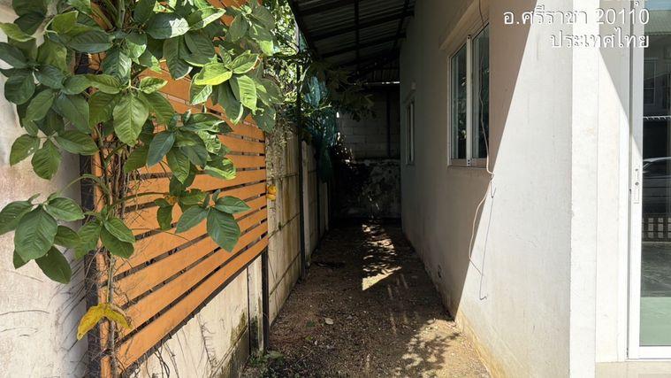 รูป BG 3544 : เศรษฐสิริ 331 - ปากร่วม - รูปที่ 13/15