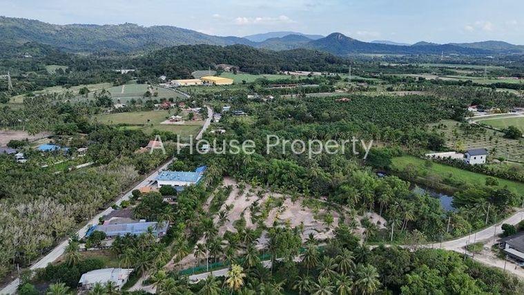 รูป ขายที่ดินสวย บรรยากาศธรรมชาติ เงียบสงบ บ้านห้วยกุ่ม บางพระ - รูปที่ 4/10