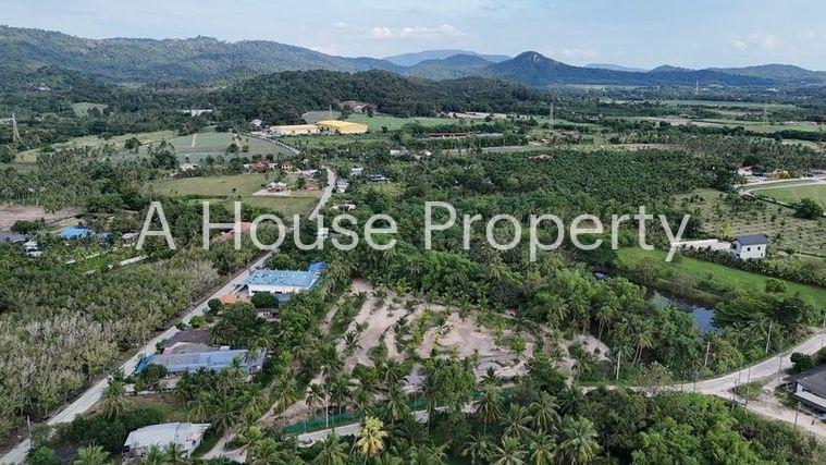รูป ขายที่ดินสวย บรรยากาศธรรมชาติ เงียบสงบ บ้านห้วยกุ่ม บางพระ - รูปที่ 4/10