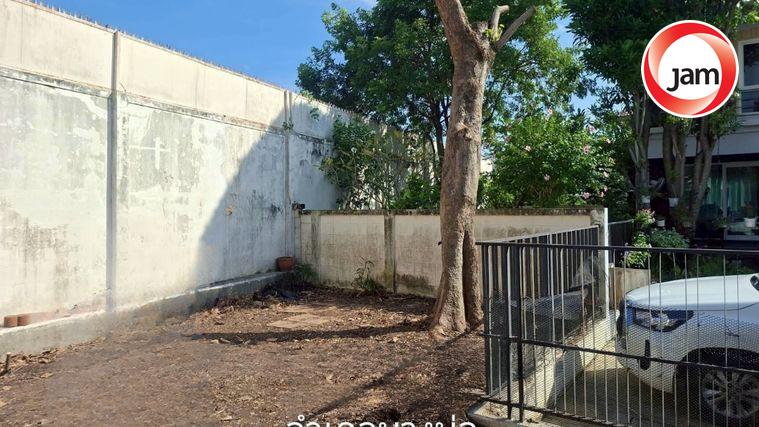 รูป BG 0959 : หมู่บ้านพฤกษ์ลดา บางนา - รูปที่ 3/10