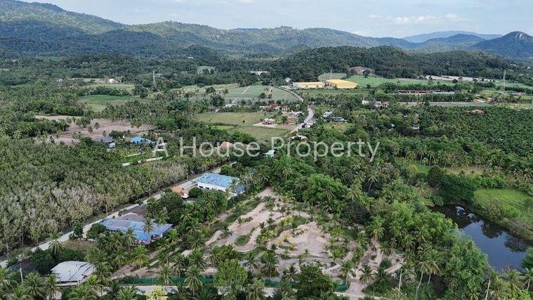 รูป ขายที่ดินสวย บรรยากาศธรรมชาติ เงียบสงบ บ้านห้วยกุ่ม บางพระ - รูปที่ 6/10