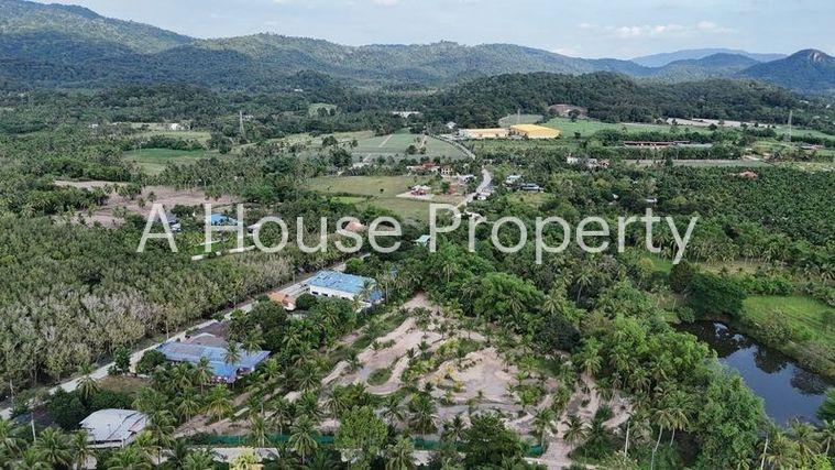 รูป ขายที่ดินสวย บรรยากาศธรรมชาติ เงียบสงบ บ้านห้วยกุ่ม บางพระ - รูปที่ 6/10