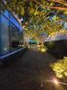 listing thumbnail image 64