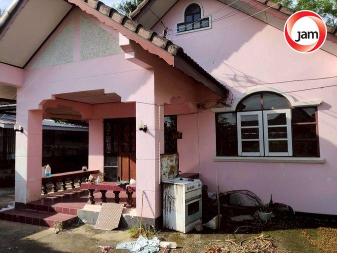 รูป JK 4108917 : นอกโครงการเชียงใหม่ - รูปที่ 2/11