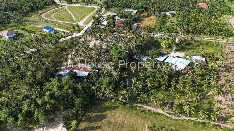 รูป ขายที่ดินศรีราชา บางพระ แปลงสวย ทำเลดี โซนบ้านห้วยกุ่ม - รูปที่ 6/12