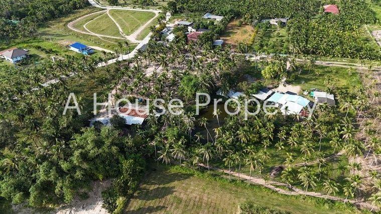 picture Land for sale in Sriracha, Bang Phra, beautiful plot, great location, Ban Huai Kum area - 6/12