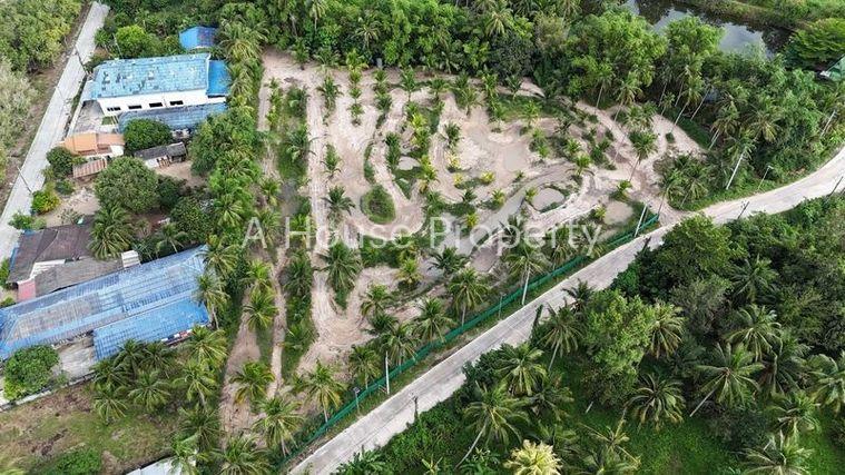 รูป ขายที่ดินสวย บรรยากาศธรรมชาติ เงียบสงบ บ้านห้วยกุ่ม บางพระ - รูปที่ 2/10
