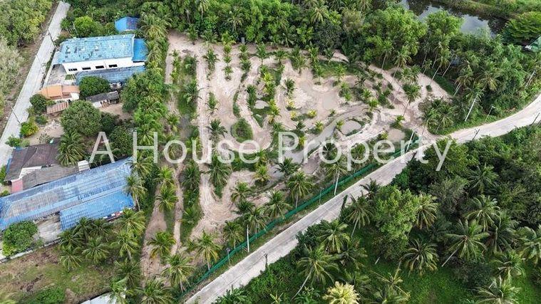 รูป ขายที่ดินสวย บรรยากาศธรรมชาติ เงียบสงบ บ้านห้วยกุ่ม บางพระ - รูปที่ 2/10