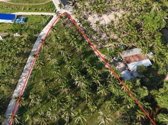 picture Land for sale in Sriracha, Bang Phra, beautiful plot, great  location, Ban Huai Kum area - 2/12