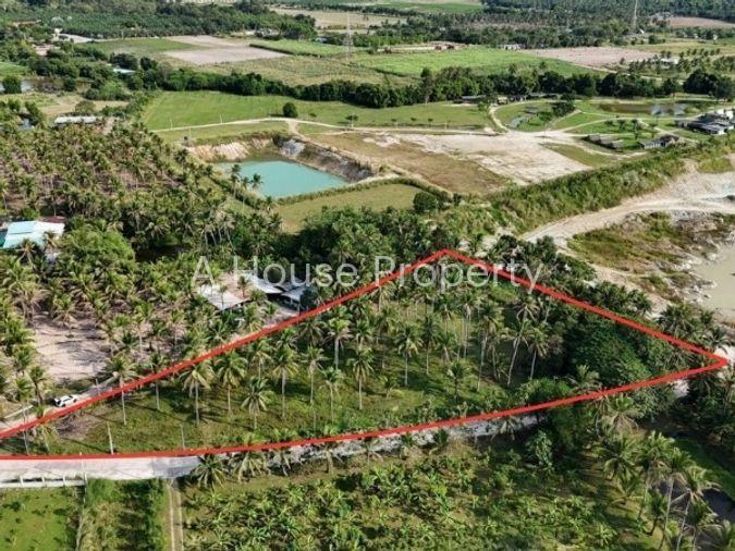 รูป ขายที่ดินศรีราชา บางพระ แปลงสวย ทำเลดี โซนบ้านห้วยกุ่ม - รูปที่ 1/12