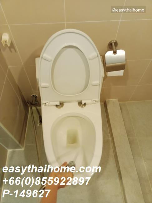 picture P-149627 Condo for sell Lumpini Place Narathiwas-Chaopraya fully furnished. - 4/31