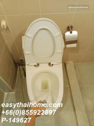 picture P-149627 Condo for sell Lumpini Place Narathiwas-Chaopraya fully furnished. - 4/31