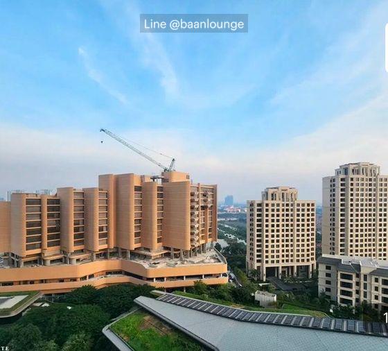 picture PET FRIENDLY and unblock view Whizdom the Forestias Petopia - 5/5