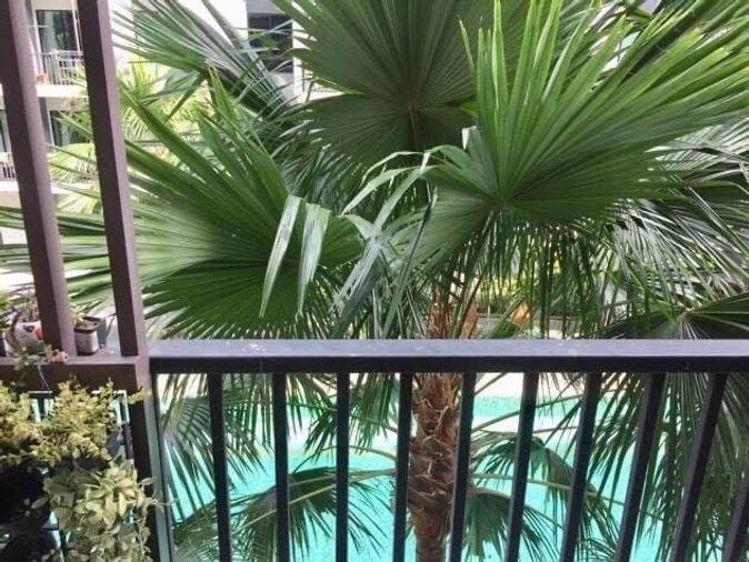 รูป ขาย ขาย i condo สุขุมวิท 105 31 ตรม. 1ห้องนอน 1.25 ล้านบาท - รูปที่ 2/6