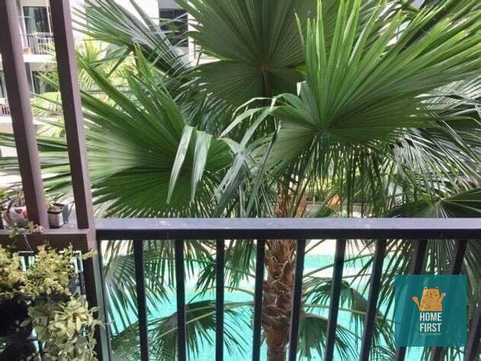 รูป ขาย ขาย i condo สุขุมวิท 105 31 ตรม. 1ห้องนอน 1.25 ล้านบาท - รูปที่ 2/6