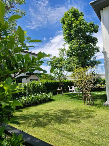 รูป 📣🌈🏡 เช่าบ้าน แกรนด์ พลีโน่ สุขุมวิท-บางนาใกล้Mega บางนา ตกแต่งพร้อมเข้าอยู่ 🐶รับสัตว์เลี้ยง มีสนามหญ้ากว้างให้วิ่งเล่น - รูปที่ 2/11