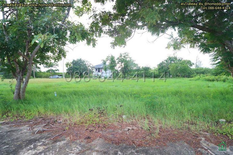 รูป ที่ดิน 300 ตร.ว.ใกล้ทะเล เพชรบุรี ใกล้ หาดเจ้าสำราญ หาดปึกเตียน เพชรบุรี ในโครงการจัดสรร ติดถนนคอนกรีต 3 ด้าน - รูปที่ 9/12