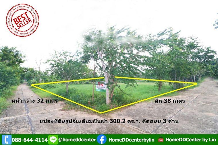 รูป ที่ดิน 300 ตร.ว.ใกล้ทะเล เพชรบุรี ใกล้ หาดเจ้าสำราญ หาดปึกเตียน เพชรบุรี ในโครงการจัดสรร ติดถนนคอนกรีต 3 ด้าน - รูปที่ 1/12