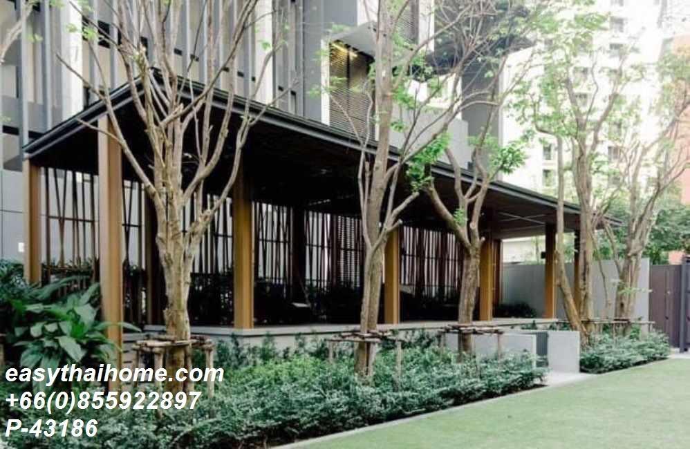 picture P-43186 Condo for rent Quinn Condo Ratchada fully furnished (Confirm again when visit).  - 19/19