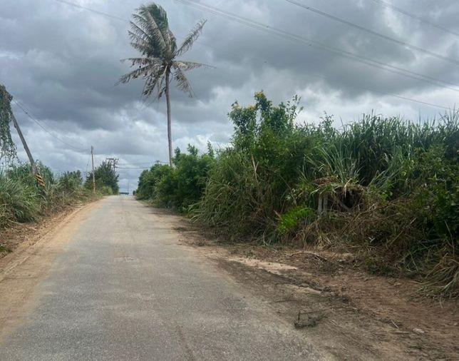 picture Beautiful land plot for sale, Bo Win, Sriracha, near Pinthong 3 Industrial Estate - 4/5