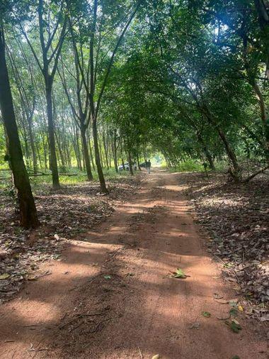 picture Land for sale for factory construction, beautiful plot, Khao Khan Song District, Sriracha, Chonburi - 3/9
