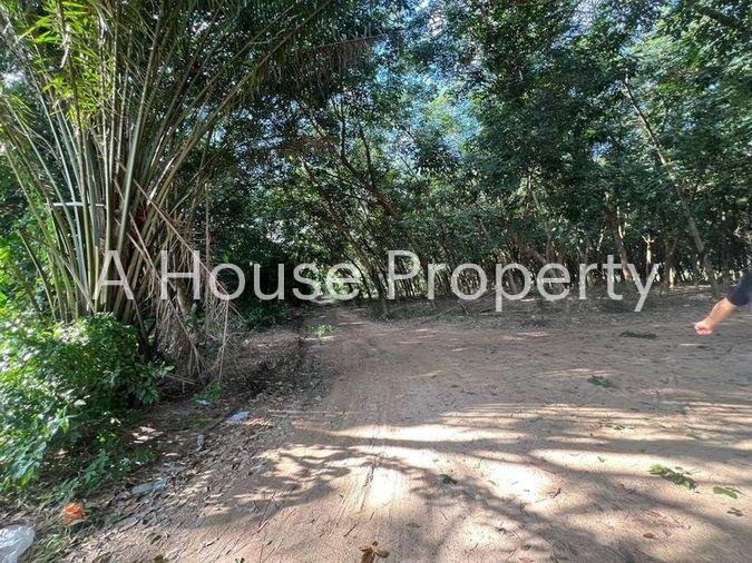 picture Land for sale for factory construction, beautiful plot, Khao Khan Song District, Sriracha, Chonburi - 8/9