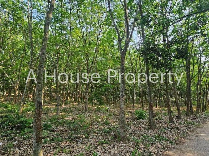 picture Land for sale for factory construction, beautiful plot, Khao Khan Song District, Sriracha, Chonburi - 6/9