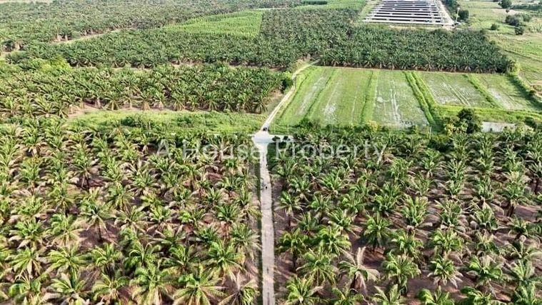 รูป ขายที่ดินบ้านบึง คลองกิ่ว แปลงสวย ใกล้แหล่งนิคมอุตสาหกรรมมากมาย - รูปที่ 1/3