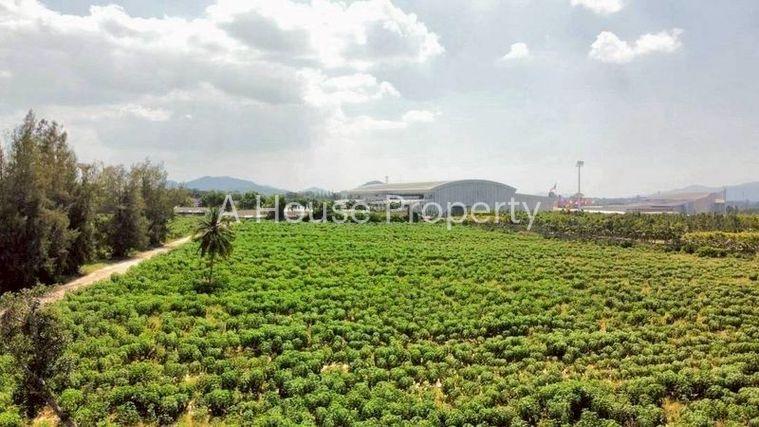 รูป ขายที่ติดสวนนงนุช พัทยา ใกล้ทะเลนาจอมเทียน แปลงสวย ทำเลดีมาก - รูปที่ 3/4