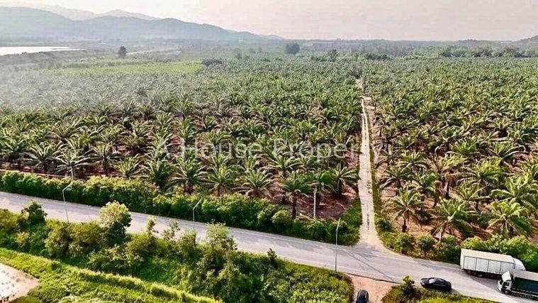 รูป ขายที่ดินบ้านบึง คลองกิ่ว แปลงสวย ใกล้แหล่งนิคมอุตสาหกรรมมากมาย - รูปที่ 2/3