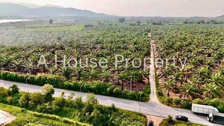 รูป ขายที่ดินบ้านบึง คลองกิ่ว แปลงสวย ใกล้แหล่งนิคมอุตสาหกรรมมากมาย - รูปที่ 2/3