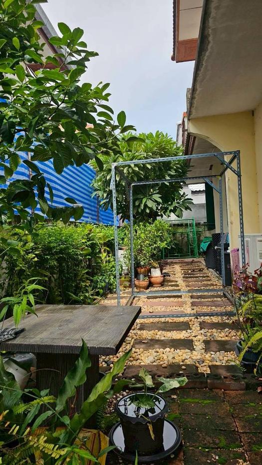 รูป Pool Villa for Sale in Jomtien - รูปที่ 5/13