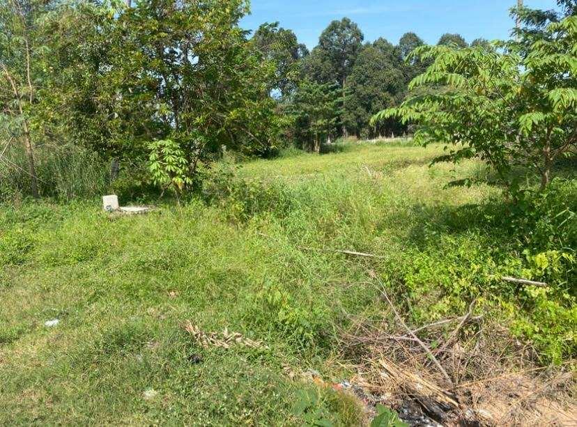 รูป Land for Sale in Huay Yai Ideal for Investment and Development - รูปที่ 2/4