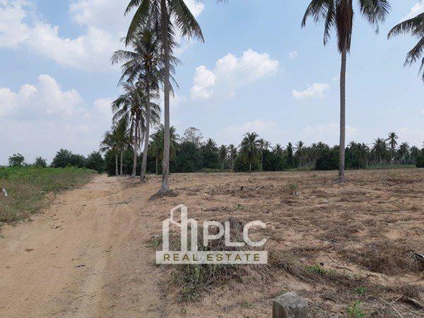 รูป Huay Yai Land for Sale - รูปที่ 3/7