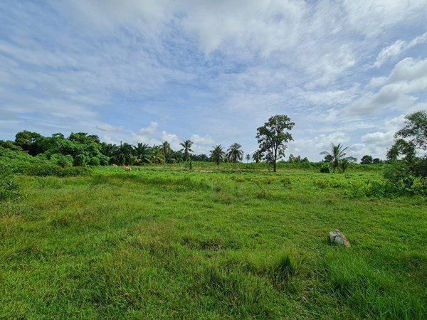 รูป Large Land plot for Sale in Huay Yai - รูปที่ 6/8