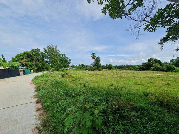 รูป Large Land plot for Sale in Huay Yai - รูปที่ 5/8