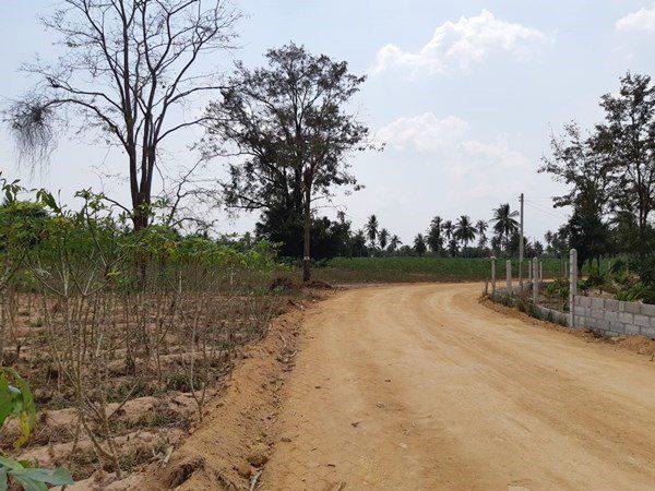 รูป Huay Yai Land for Sale - รูปที่ 6/7