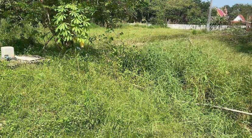 รูป Land for Sale in Huay Yai Ideal for Investment and Development - รูปที่ 3/4